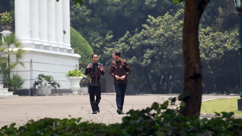 Bertemu Presiden Jokowi, PM Belanda Tanam Pohon Damar di Istana Bogor - Bagian 4