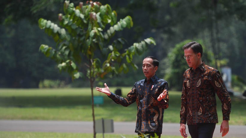 Bertemu Presiden Jokowi, PM Belanda Tanam Pohon Damar di Istana Bogor - Bagian 2