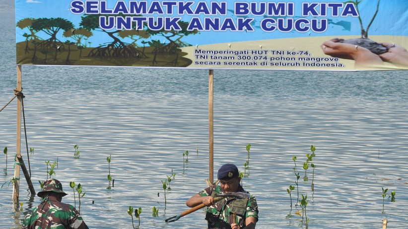 Prajurit TNI-Polri Tanam Ribuan Pohon Mangrove di Bekas Lokasi Tsunami Palu - Bagian 2