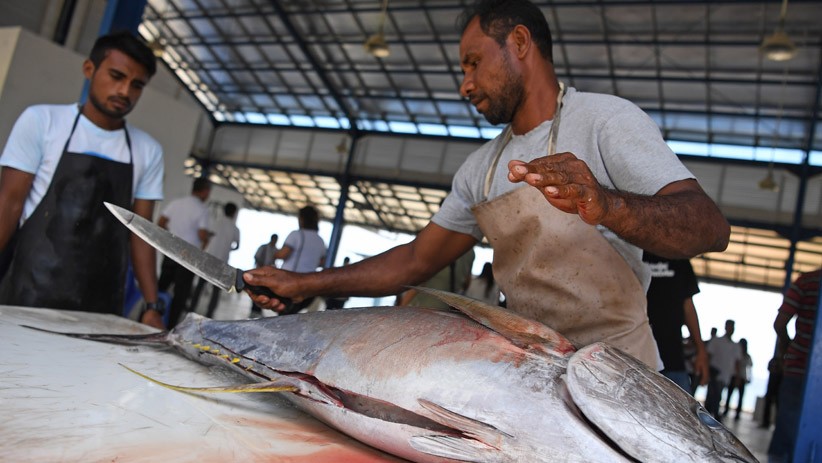 Lihat Pertumbuhan Bisnis Maluku Utara, Menteri BUMN Kunjungi SKPT Morotai - Bagian 3