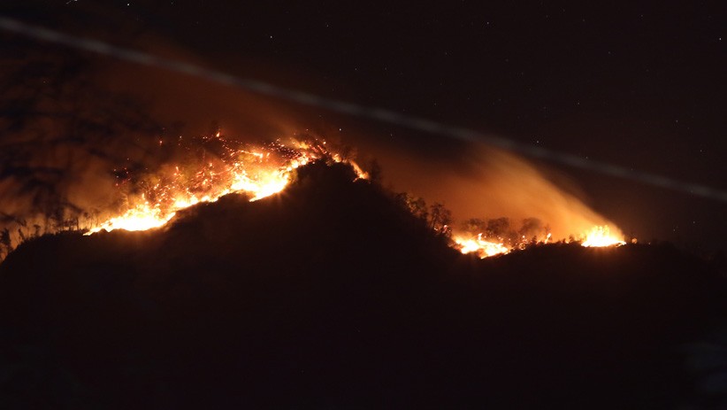 Kebakaran di Hutan Gunung Ranti, Jalur Pendakian Ijen Ditutup Sementara - Bagian 3