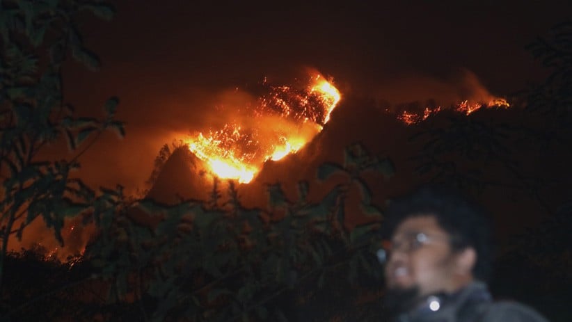 Kebakaran di Hutan Gunung Ranti, Jalur Pendakian Ijen Ditutup Sementara - Bagian 1