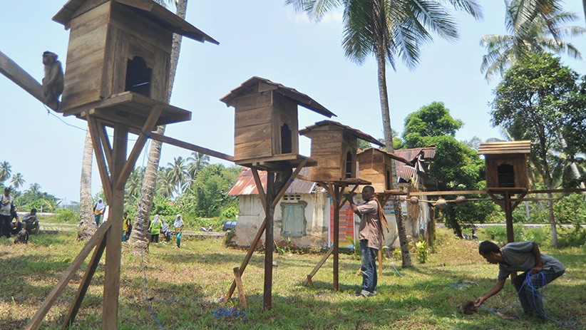 Melihat Fasilitas Sekolah Tinggi Ilmu Beruk - Bagian 2