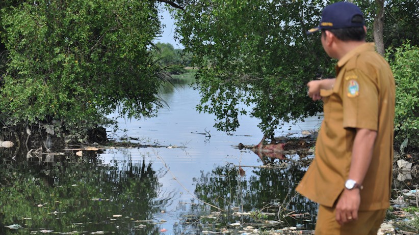 Penampakan Ratusan Bangkai Babi Dibuang ke Danau Siombak Medan - Bagian 3