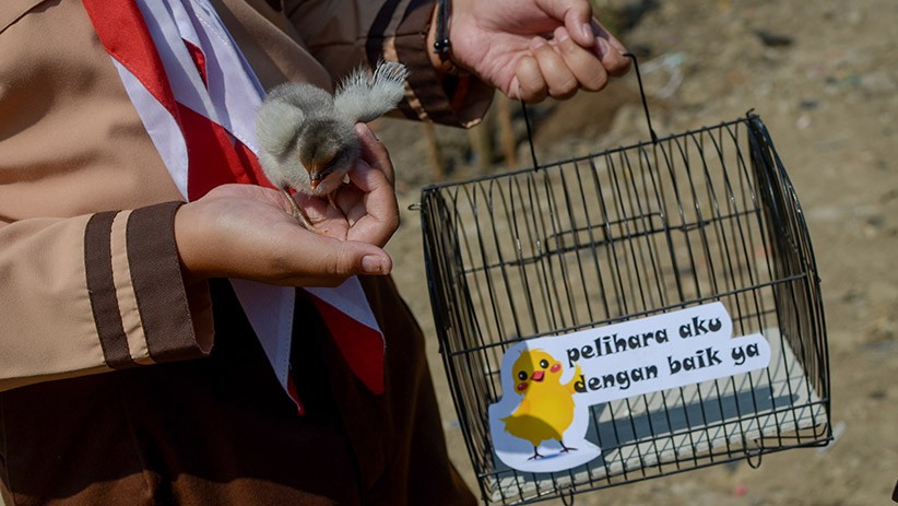 Pemkot Bandung Bagikan 2.000 Anak Ayam agar Siswa Tidak Kecanduan Gadget - Bagian 2