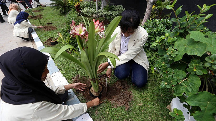 Peringatan Hari Menanam Pohon Nasional - Bagian 4