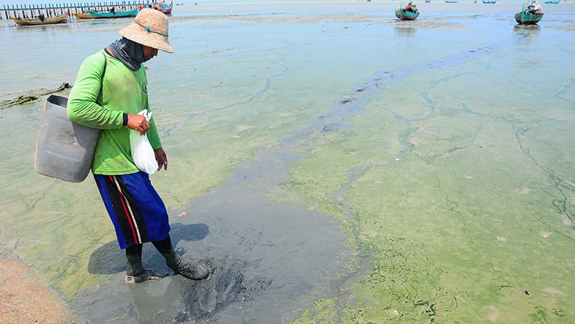 Pantai Pasir Putih Wates Tercemar Limbah, Air Berubah Warna Jadi Hitam - Bagian 2