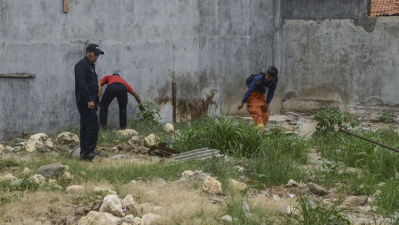 Temukan 30 Telur Ular Kobra, Petugas Damkar Sisir Perumahan di Bekasi - Bagian 1