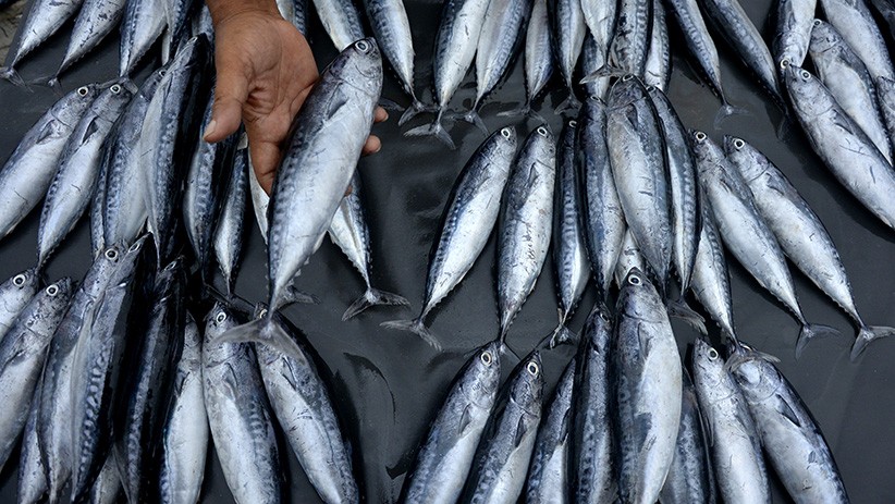 Cuaca Buruk, Stok Ikan di Takalar Sulsel Berkurang - Bagian 1