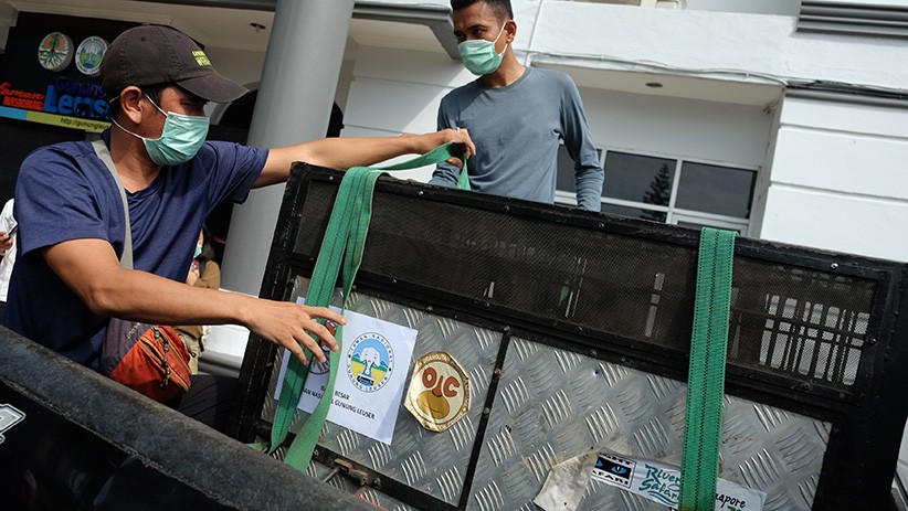 2 Bayi Orangutan Dijual Pemburu di Media Sosial Berhasil Diamankan - Bagian 2