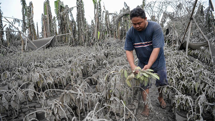 Kota di Filipina Tertutup Abu Vulkanik Pascaletusan Gunung Taal - Bagian 4