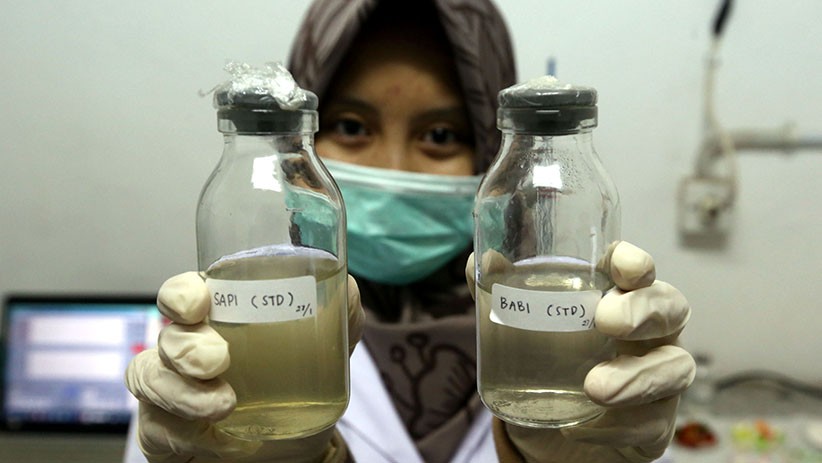 Inovasi Baru, ITS Surabaya Buat Alat Pendeteksi Gelatin Babi - Bagian 3