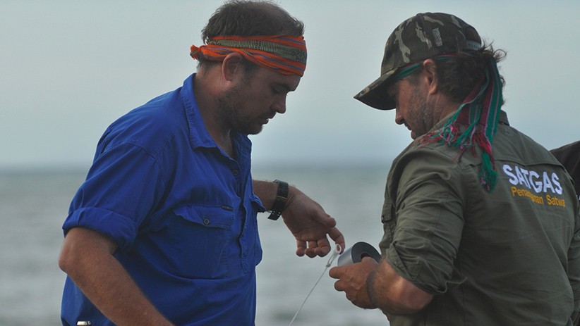 Ahli Satwa Liar Asal Australia Matt Wright Cari Buaya Berkalung Ban di Palu - Bagian 3