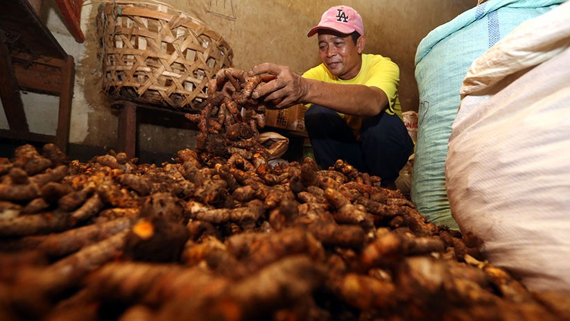 Warga Berburu Empon-Empon di Pasar Wonokromo Surabaya - Bagian 3