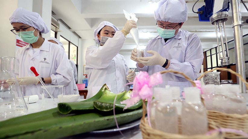 Mahasiswa Universitas Surabaya Buat Cairan Antiseptik dari Lidah Buaya - Bagian 2