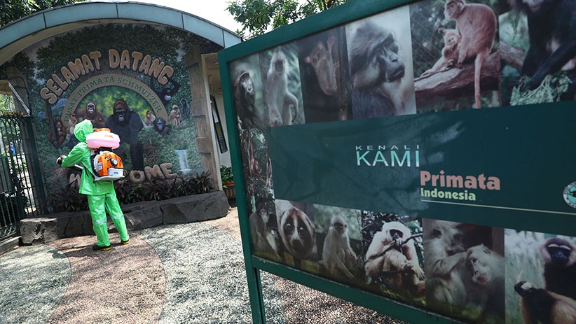 Kebun Binatang Ragunan Disemprot Cairan Disinfektan - Bagian 5