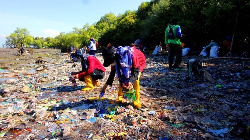 Relawan Sungai Nusantara Bebaskan Mangrove dari Sampah Plastik - Bagian 1
