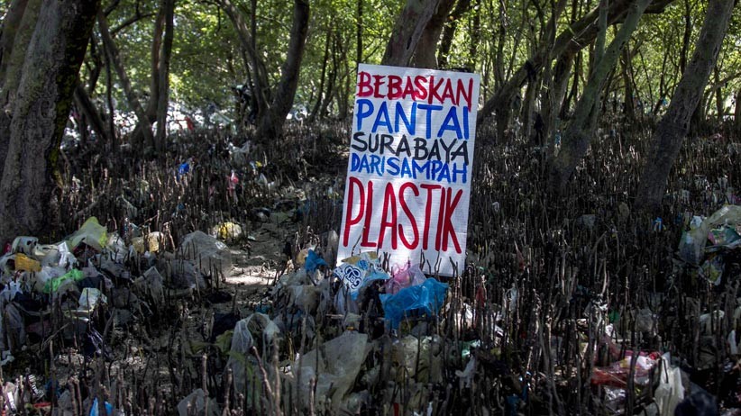 Relawan Sungai Nusantara Bebaskan Mangrove dari Sampah Plastik - Bagian 6