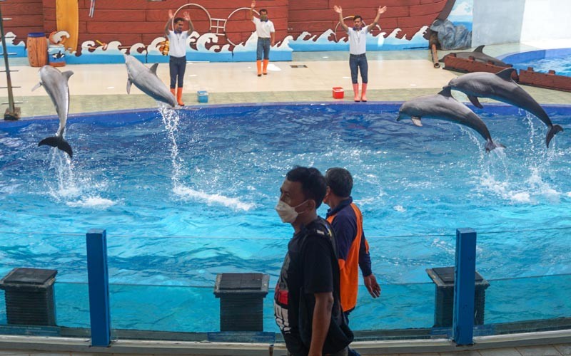  Kabupaten Batang Gelar Simulasi Pembukaan Wisata Batang Dolphins Center - Bagian 2